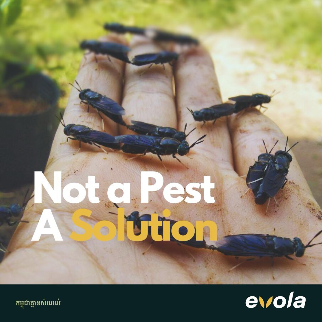 អូស្ត្រាលីគាំទ្រដល់ដំណើររបស់កម្ពុជាឆ្ពោះទៅកាន់អនាគតនៃប្រព័ន្ធចំណីអាហារប្រកបដោយសុវត្ថិភាព និងនិរន្តរភាពប្រសើរជាងមុន