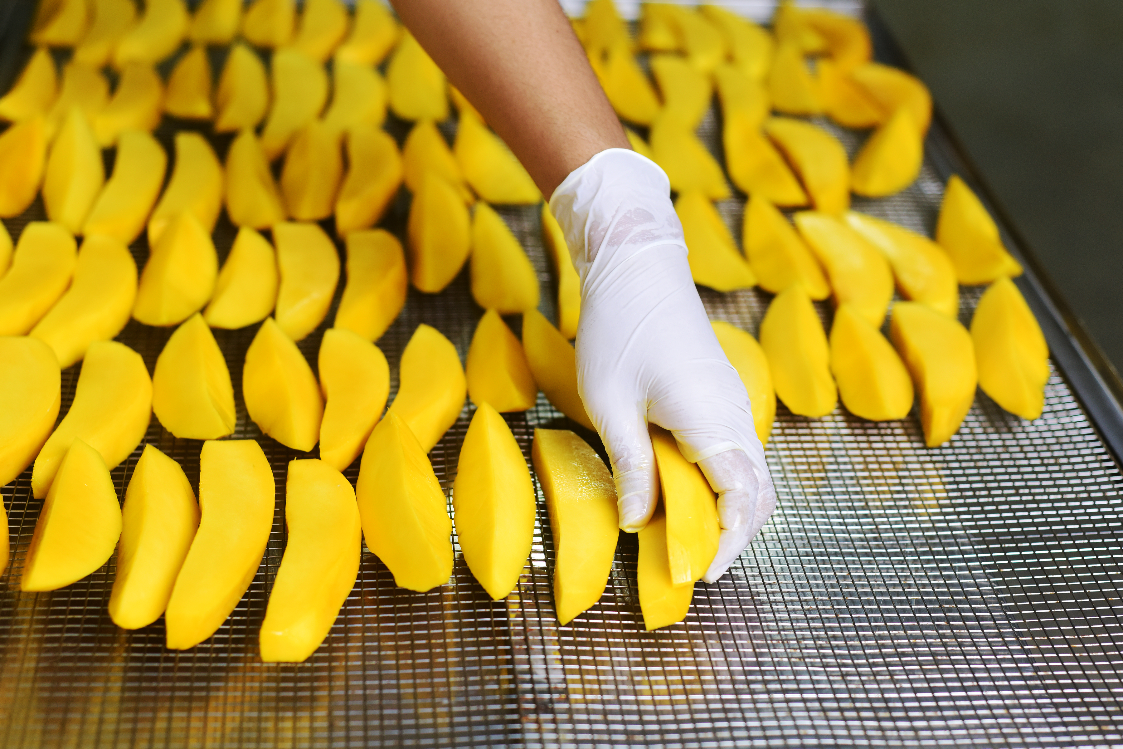 ការគាំទ្ររបស់អូស្ត្រាលីជួយឲ្យកសិធុរកិច្ចកម្ពុជាលេចធ្លោលើឆាកអន្តរជាតិ🌍🥭 