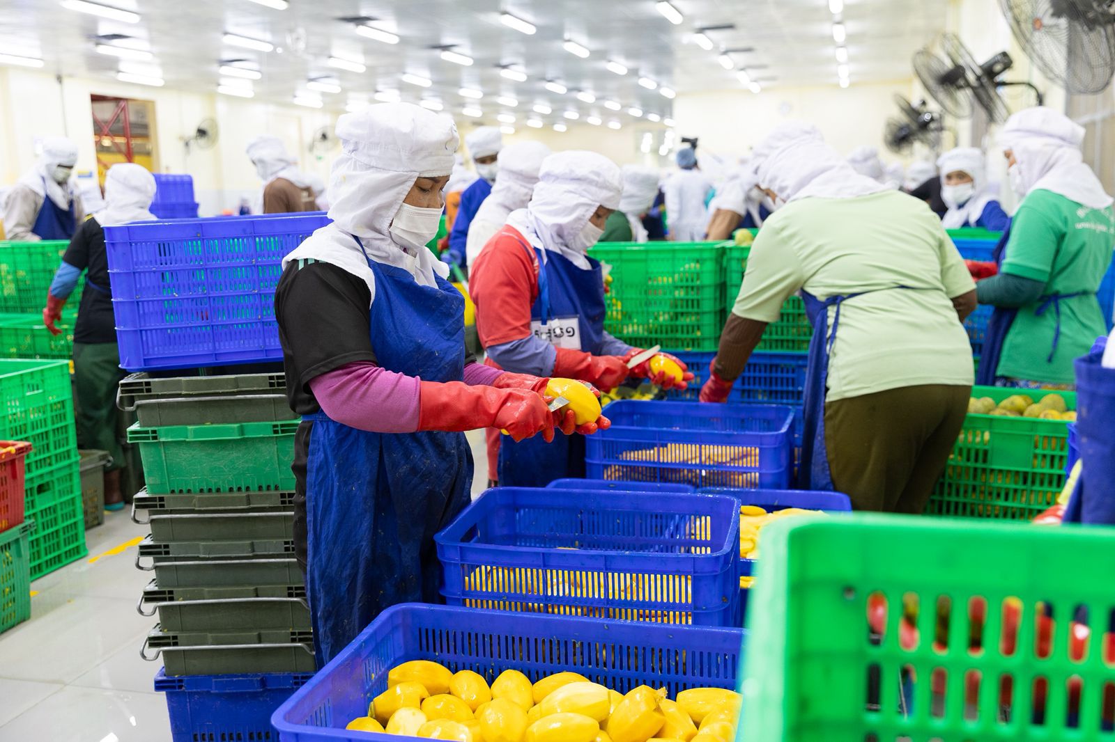 A sweet milestone for Cambodia–Australia trade relation