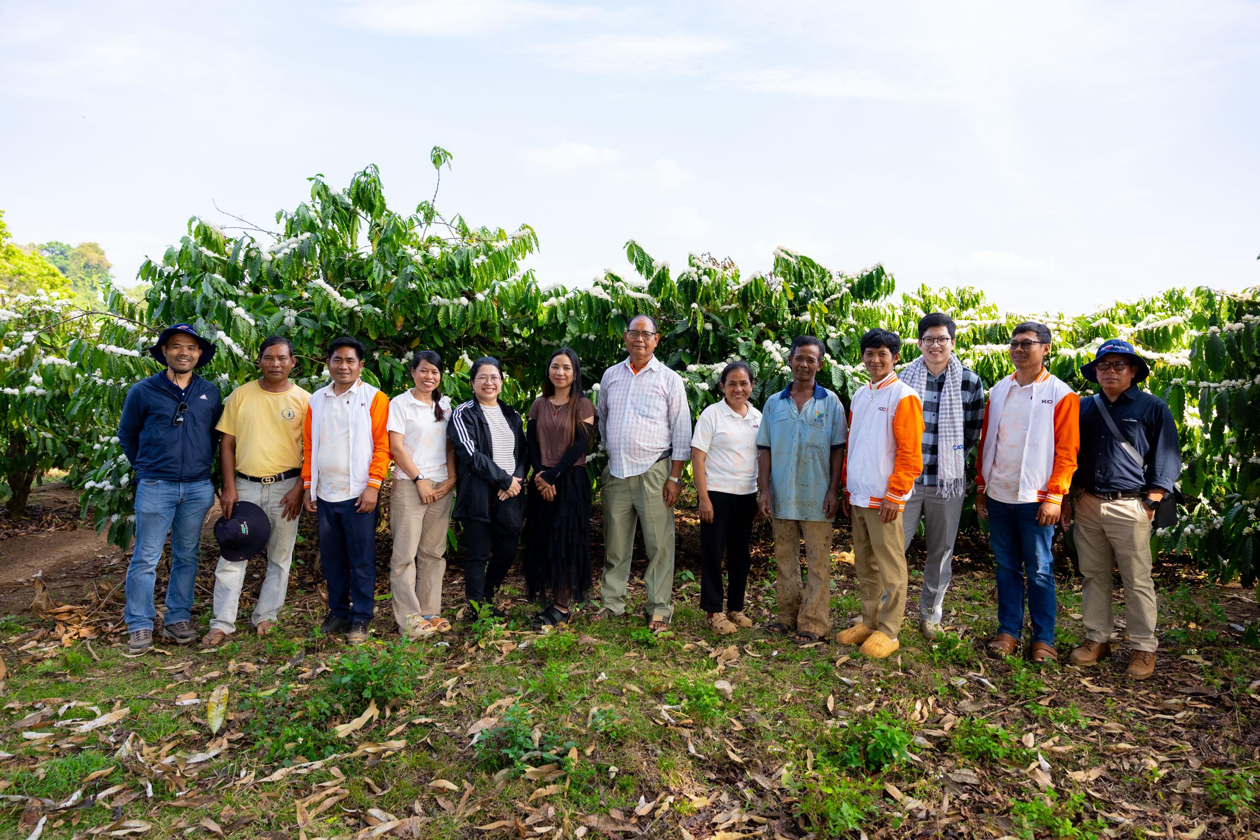 Australia’s support helps boost Cambodia’s coffee production