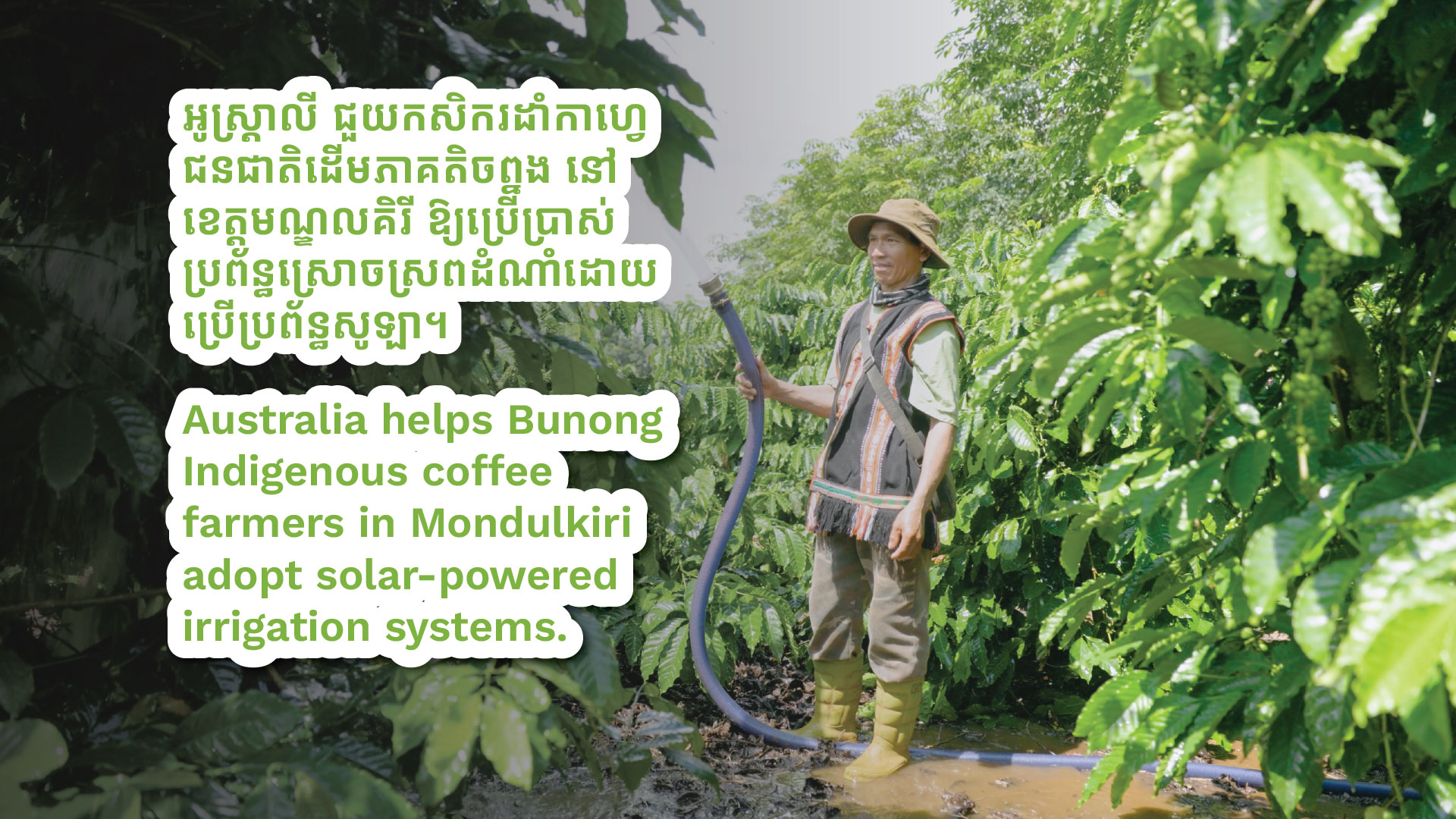 អូស្ត្រាលីជួយពង្រឹងសន្តិសុខថាមពលសម្រាប់កសិករដាំកាហ្វេជនជាតិដើមភាគតិចនៅខេត្តមណ្ឌលគិរី