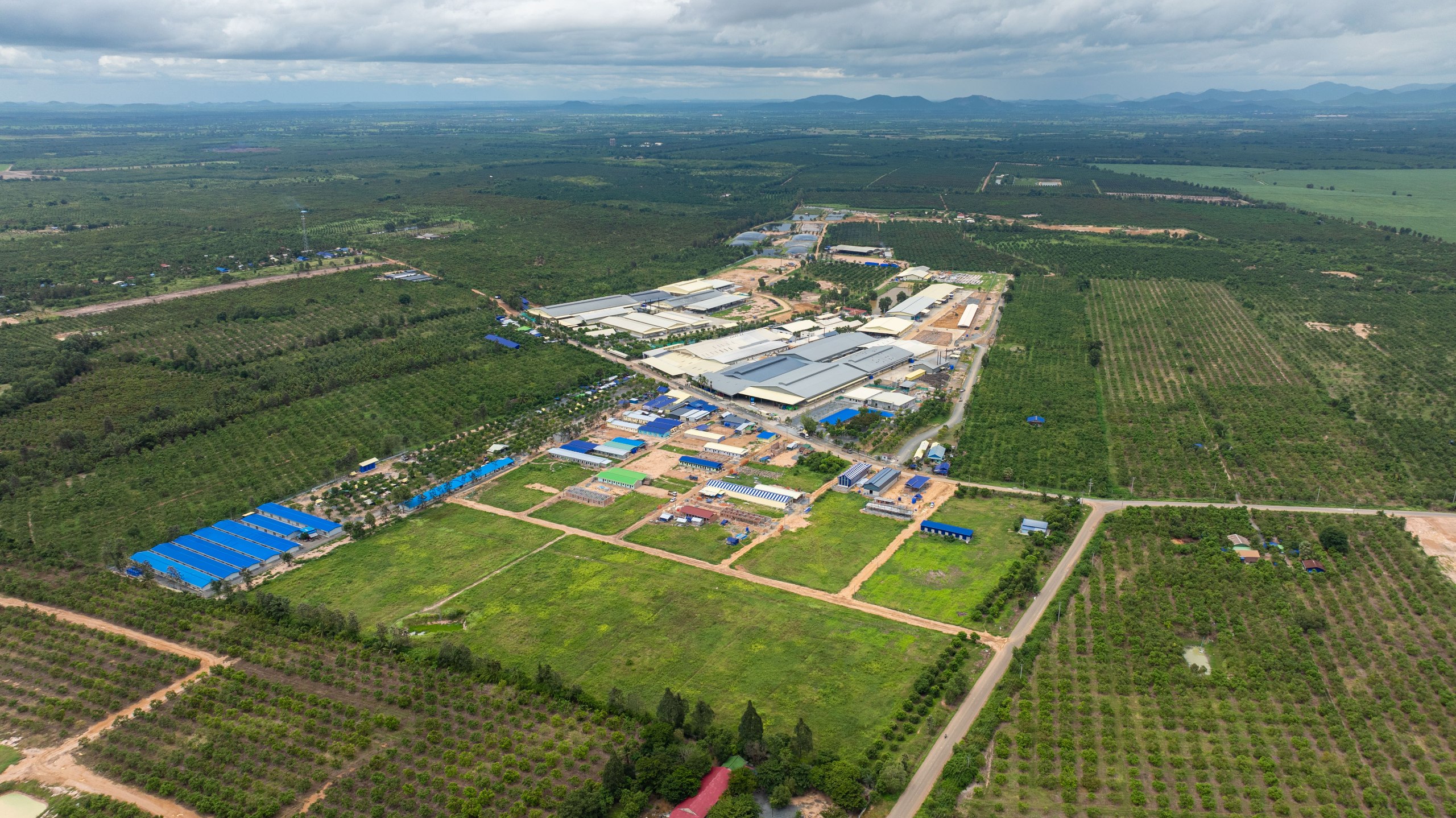 ពីចម្ការនៅកម្ពុជា ទៅកាន់ធ្នើទំនិញក្នុងផ្សារទំនើបជុំវិញពិភពលោក