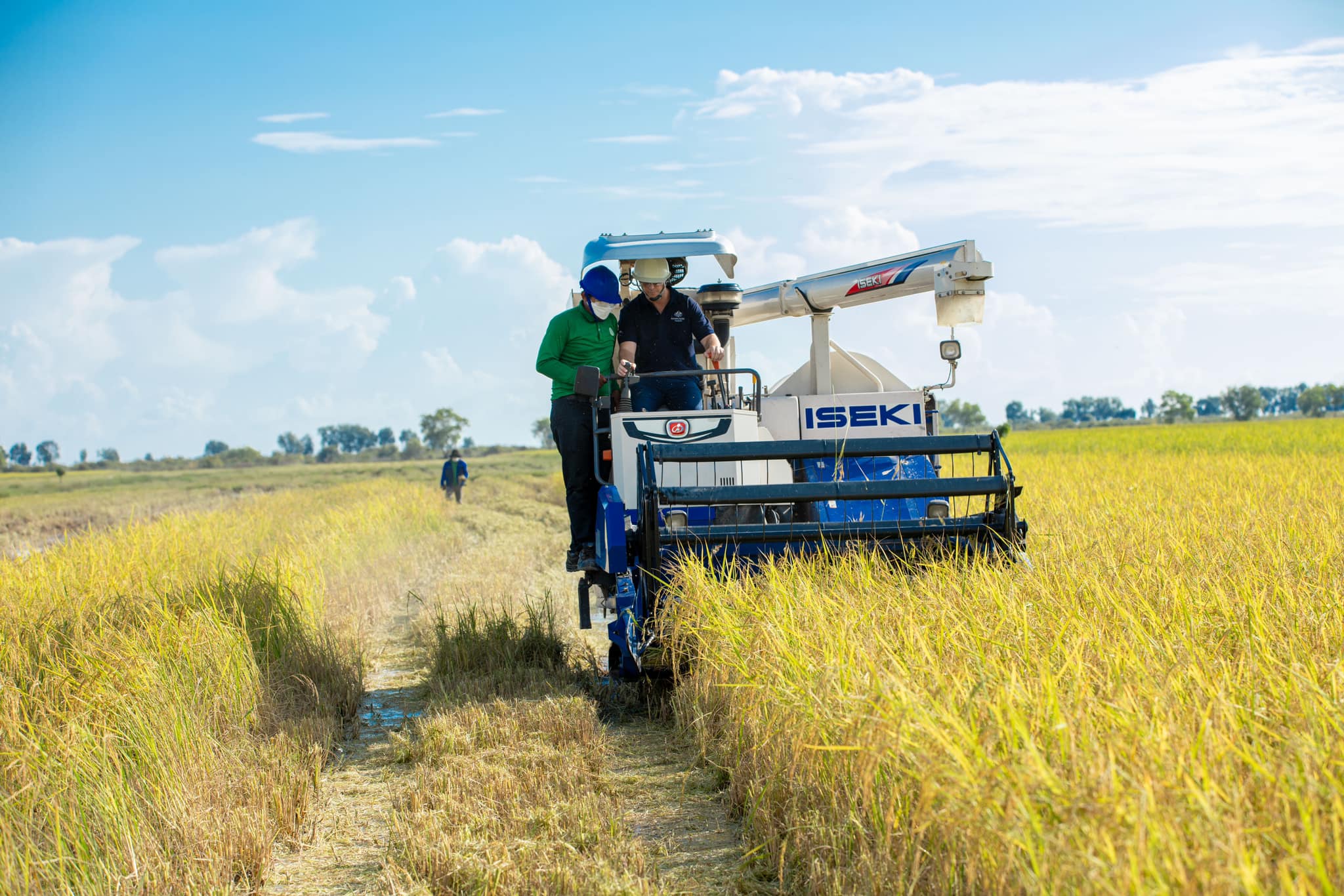 Seven Reform Priorities to realise the 2030 Vision