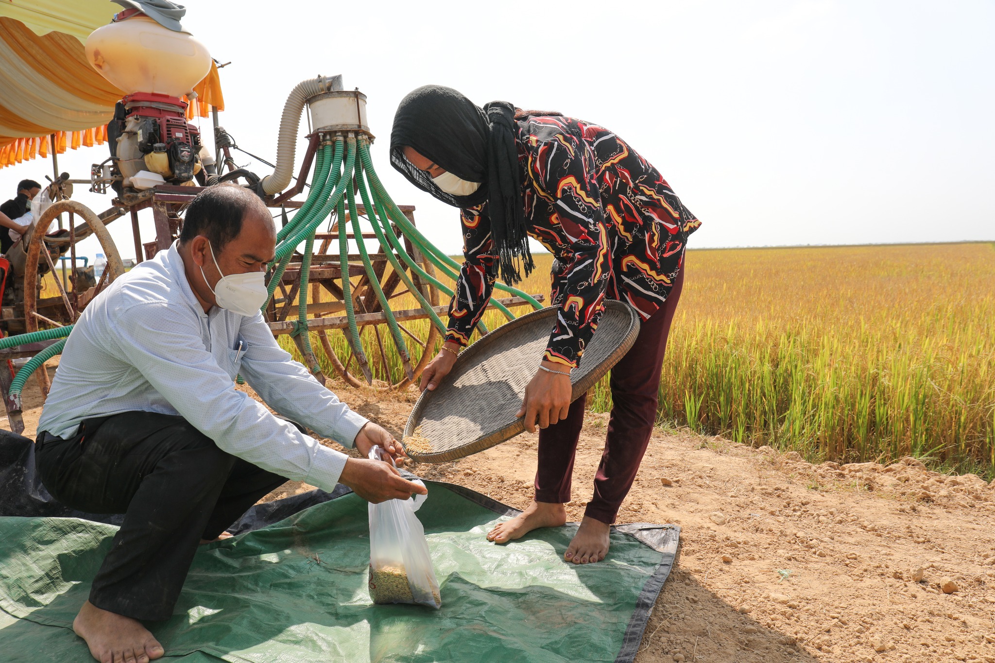 Gender Mainstreaming Policy in the Agriculture Sector