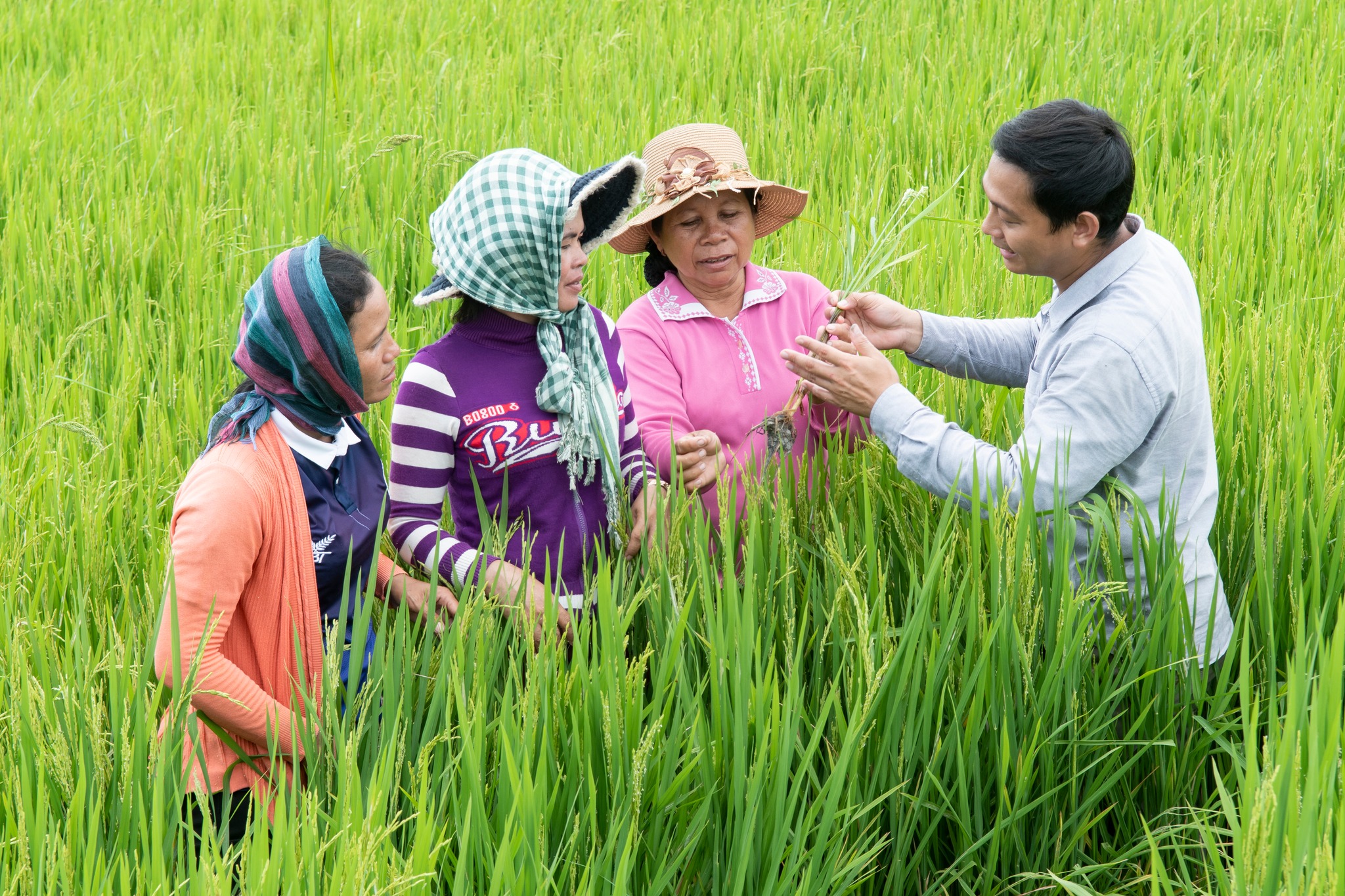Gender Mainstreaming Policy in the Agriculture Sector