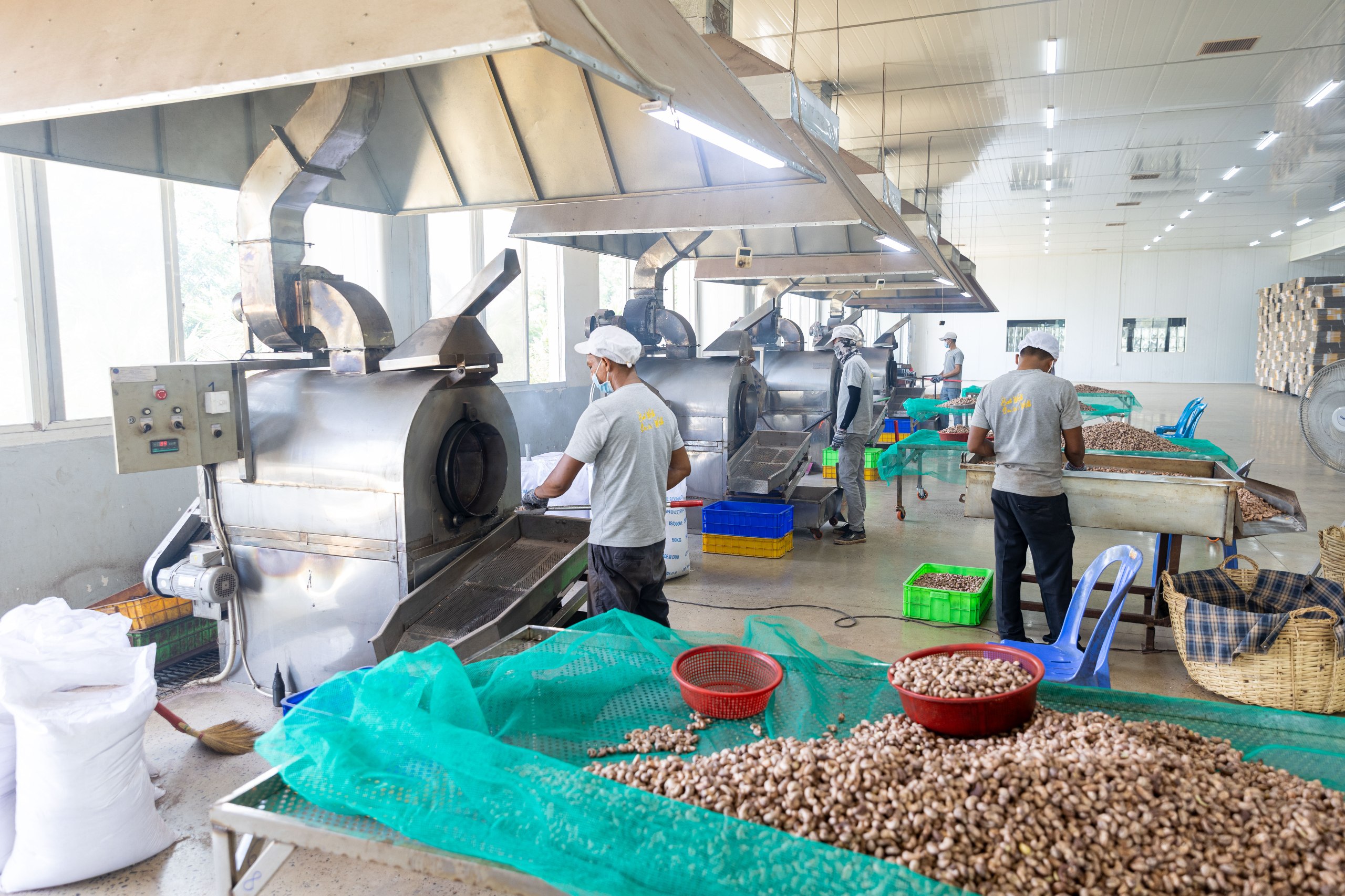 Australia boosts Cambodia’s cashew processing potential