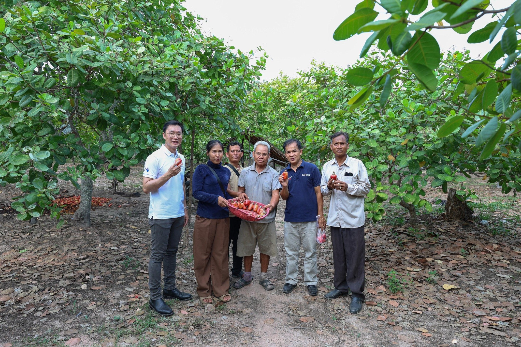 Australia supports Cambodia’s informal economy – a key driver of jobs and incomes