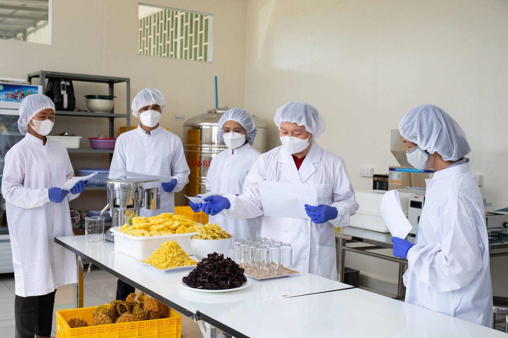 Cambodia, Australia Launch Digital Platform for Registration of SMEs, Handicrafts and Industry Sectors 