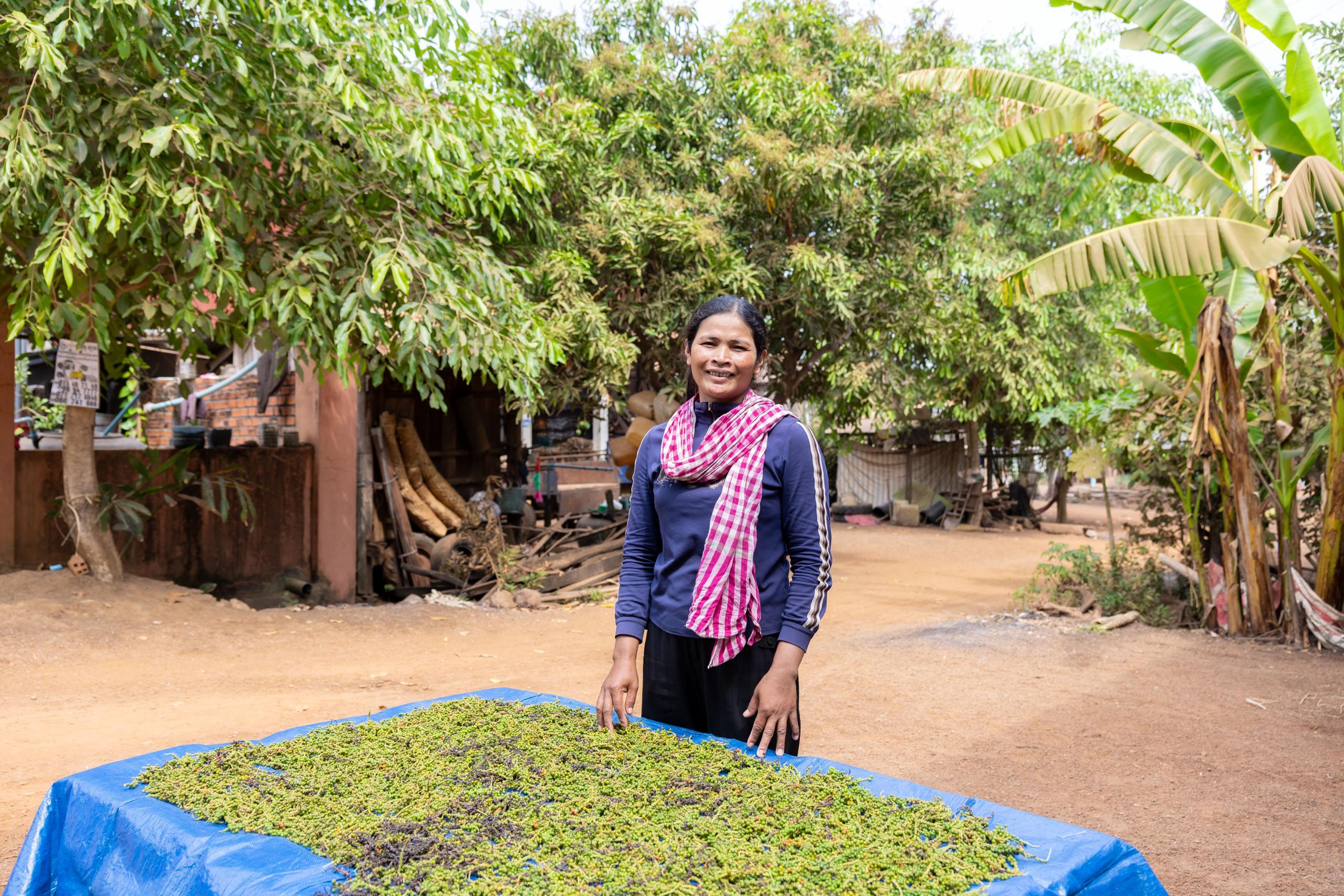 Australia is helping Tboung Khmum pepper farmers gain global recognition