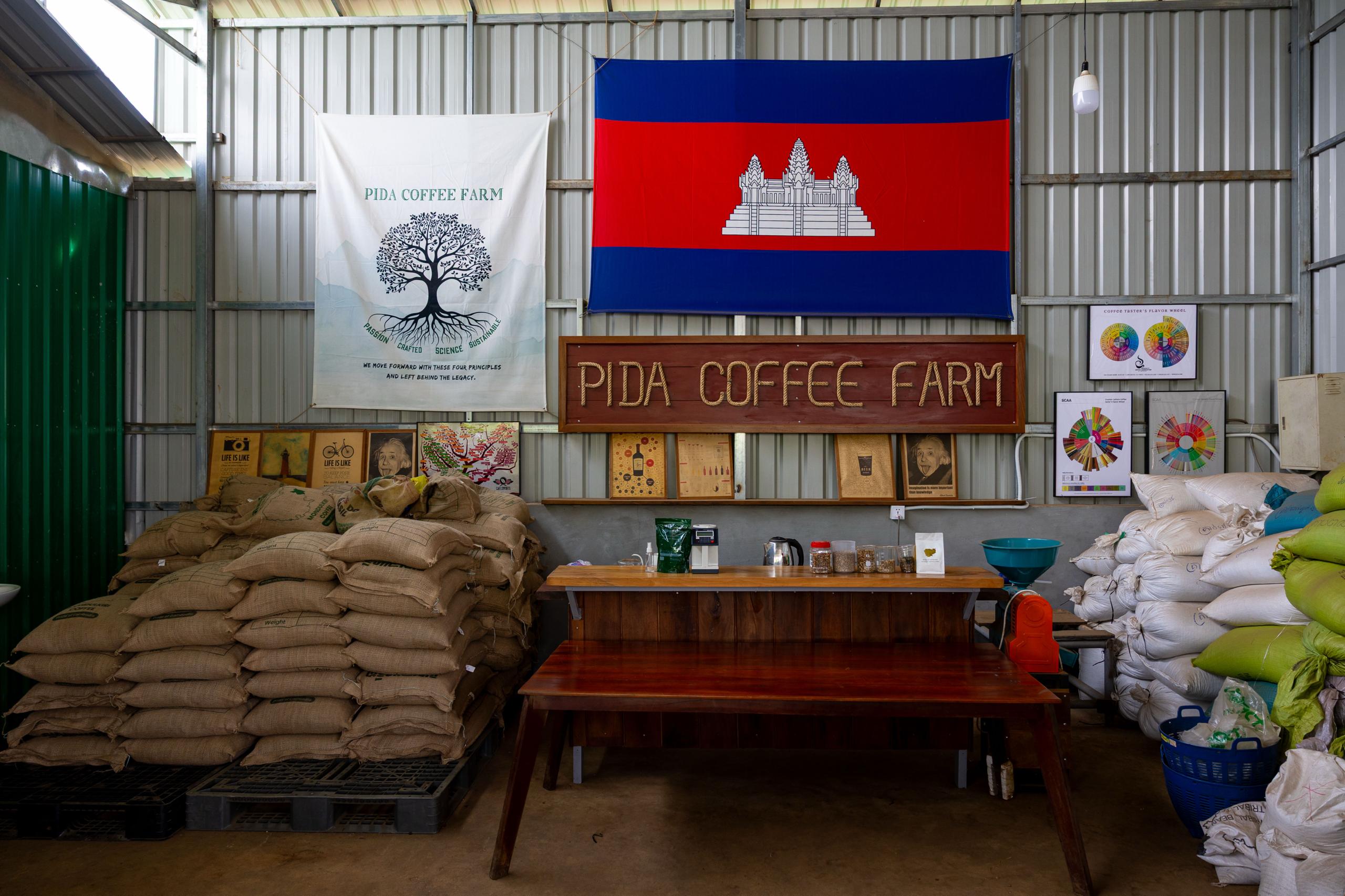 Australia’s support helps boost Cambodia’s coffee production