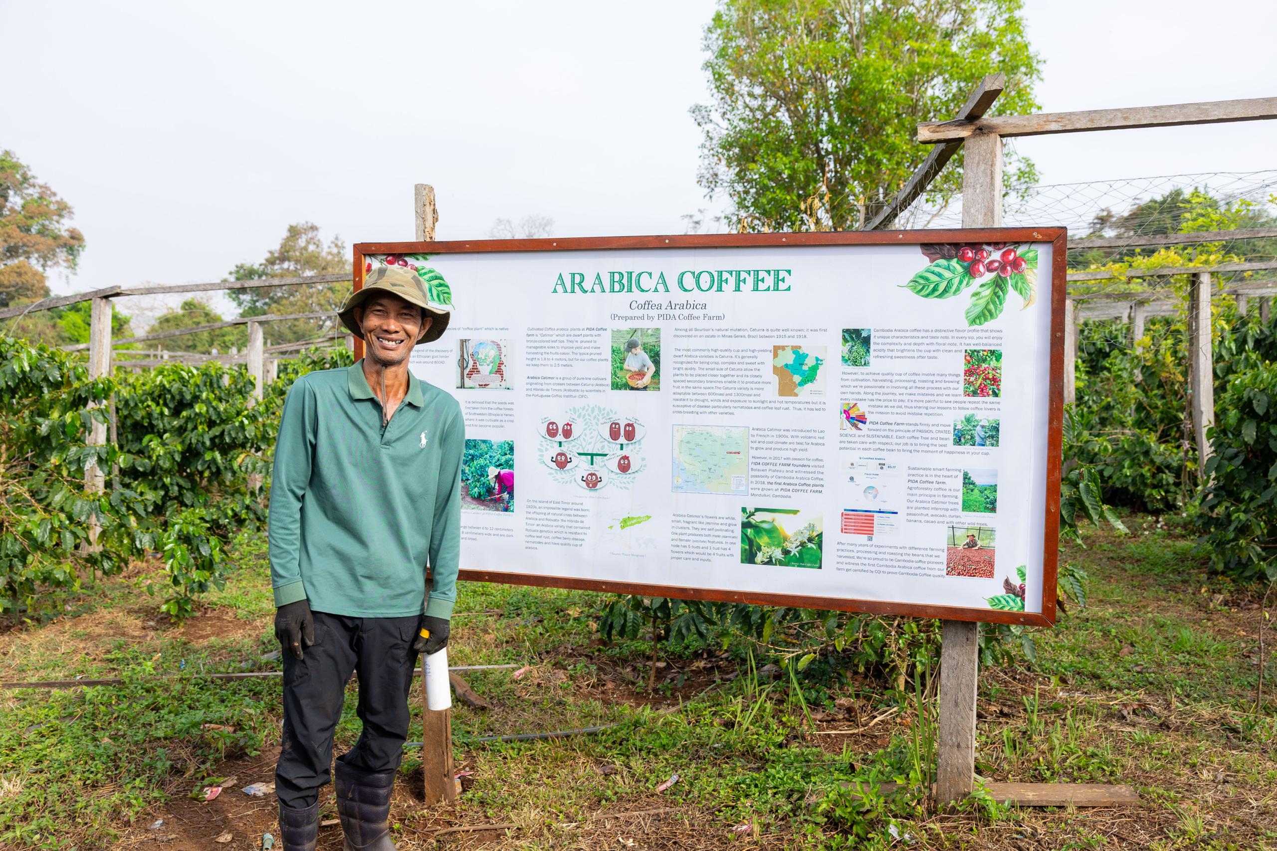 Australia’s support helps boost Cambodia’s coffee production