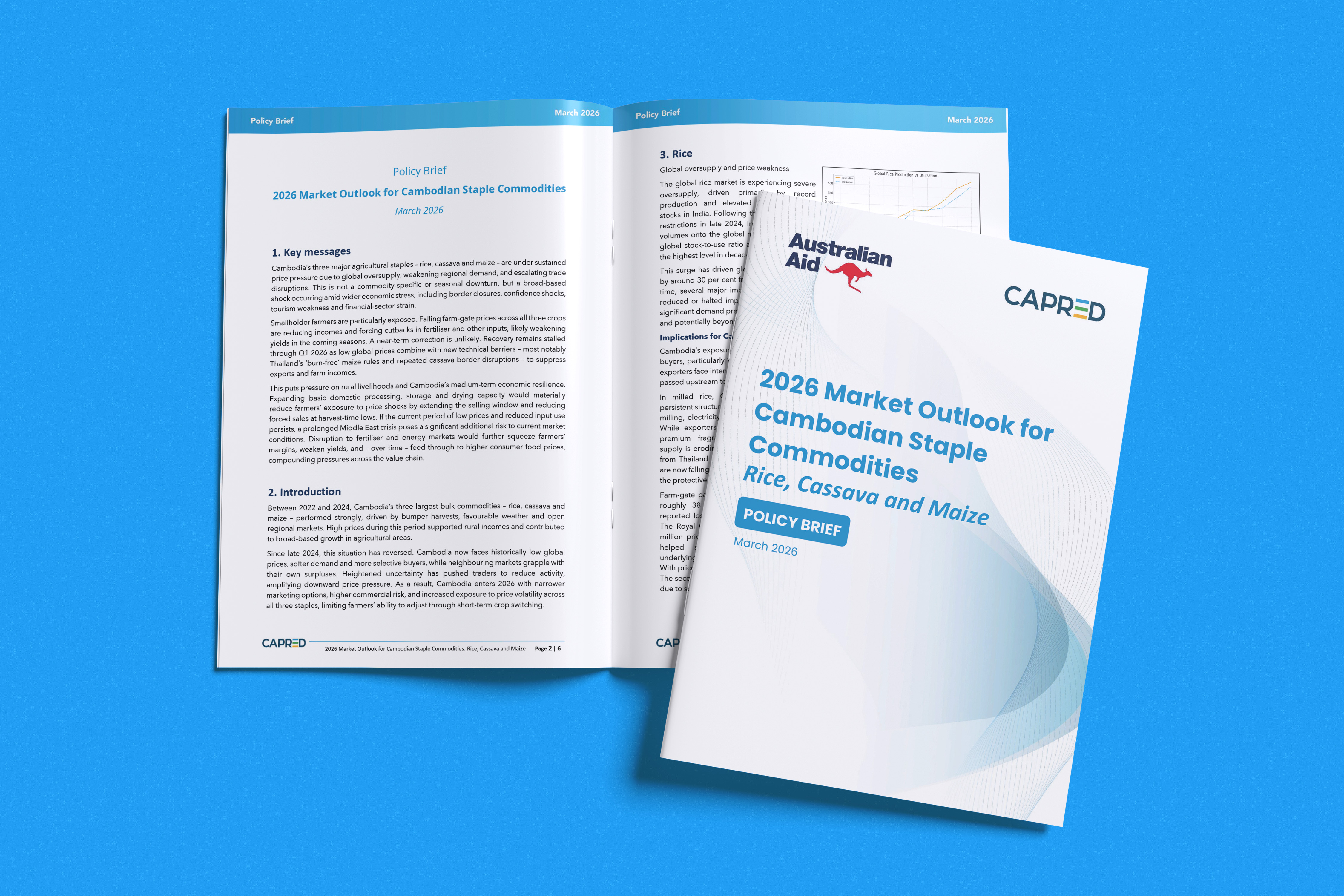 2026 Market Outlook for Cambodian Staple Commodities 