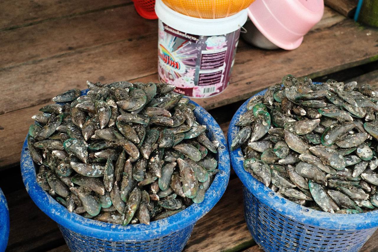 Australia backs Cambodian producers to boost food security  