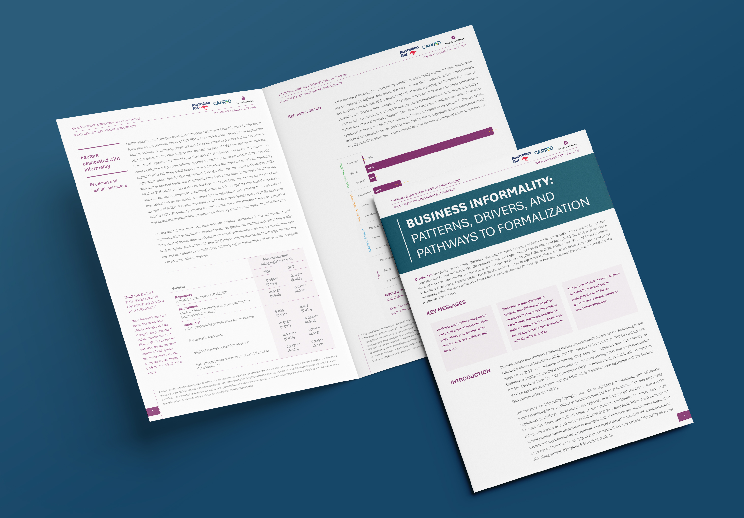 Policy research brief: business informality