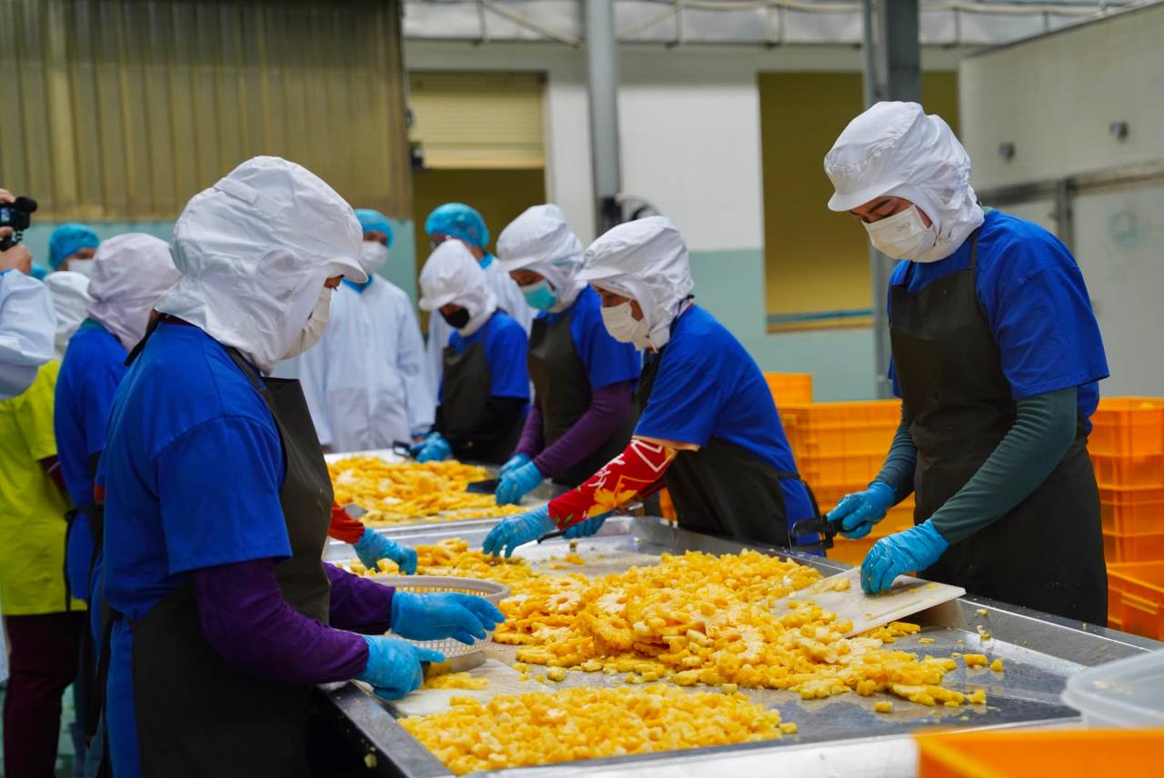 From Cambodian farms to supermarket shelves around the world