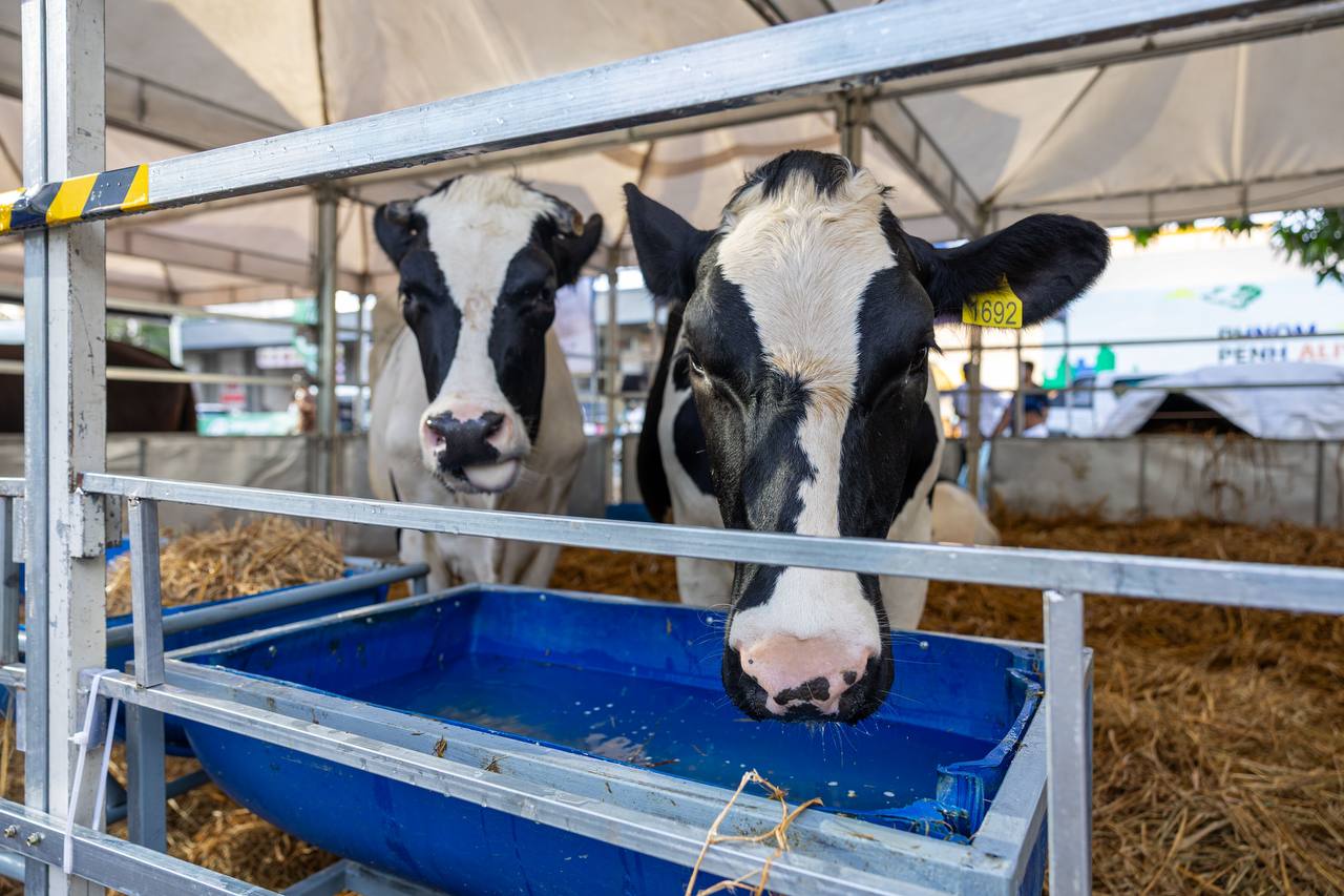 Australia supports an innovative agri-food sector